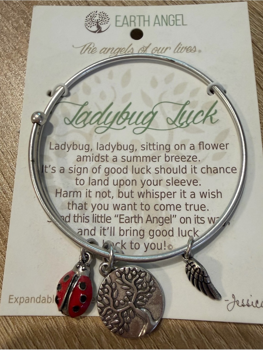Earth Angel Silver-Tone Ladybug Luck Bracelet with Red Enamel Accent